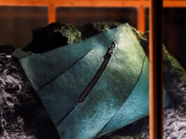 trex bag1 1200x630.jpg