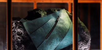 trex bag1 1200x630.jpg