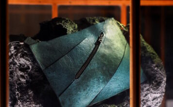 trex bag1 1200x630.jpg