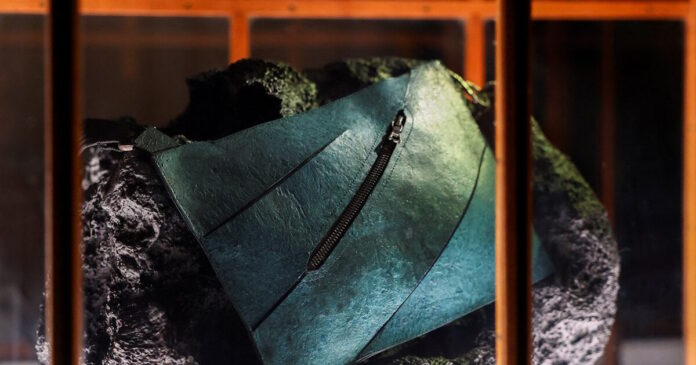 trex bag1 1200x630.jpg