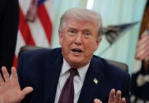 trump 12 1200x630.jpg