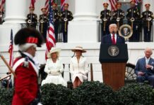 trump 14 1200x630.jpg