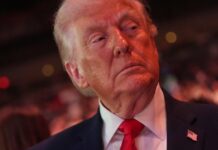 trump 2 1 1 1200x630.jpg