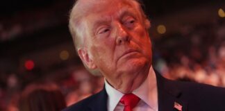 trump 2 1 1 1200x630.jpg
