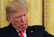 trump 2 1200x630.jpg