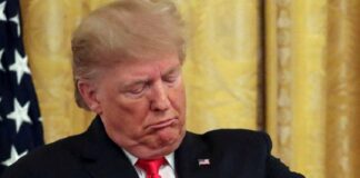 trump 2 1200x630.jpg