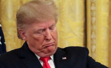 trump 2 1200x630.jpg