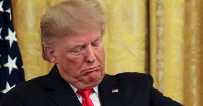 trump 2 1200x630.jpg