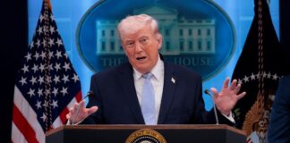 trump 4 1200x630.jpg
