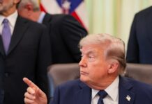 trump 6 1200x630.jpg