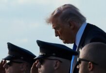 trump 8 1200x630.jpg