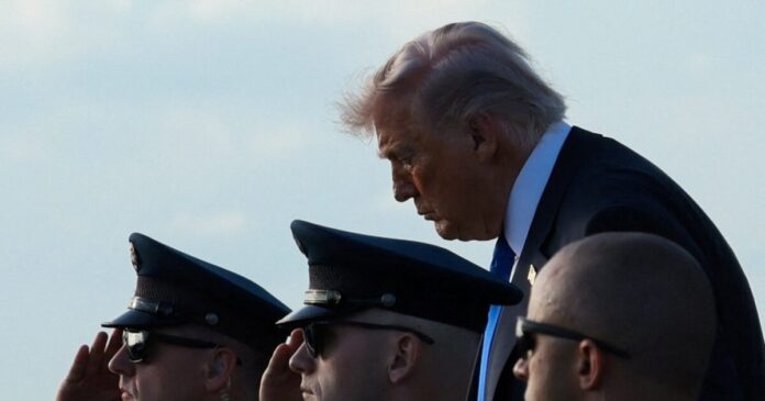 trump 8 1200x630.jpg