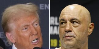 trump rogan 1200x630.jpg