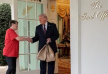 trump1 1 1200x630.jpg