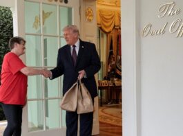 trump1 1 1200x630.jpg