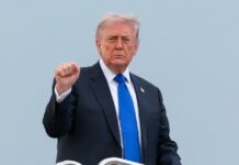 trump2 1 1 1200x630.jpg