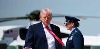 trump4 1 1200x630.jpg