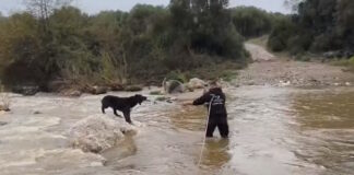 tsompanoskula xalkidiki 1200x630.jpg