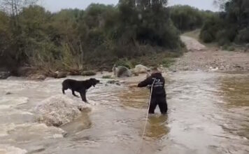 tsompanoskula xalkidiki 1200x630.jpg