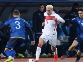 turkey ape 1200x630.jpg