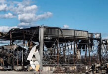 violanta 01042026 1200x630.jpg