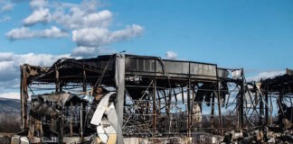 violanta 01042026 1200x630.jpg