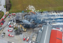 violanta 1200x630.jpg