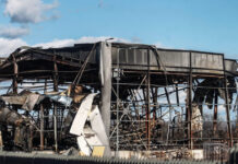 violanta eurok 1200x630.jpg