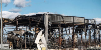 violanta eurok 1200x630.jpg