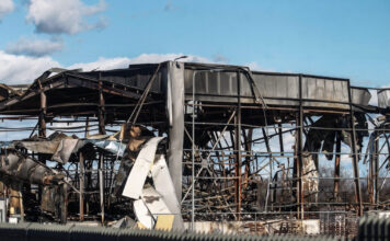 violanta eurok 1200x630.jpg