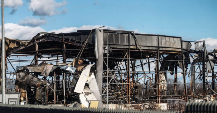 violanta eurok 1200x630.jpg