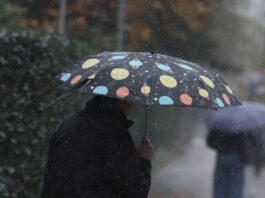 vroxi 2 1 1200x630.jpg