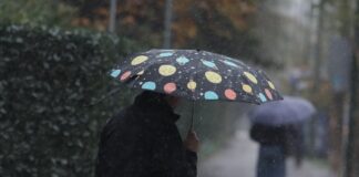 vroxi 2 1 1200x630.jpg