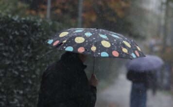 vroxi 2 1 1200x630.jpg