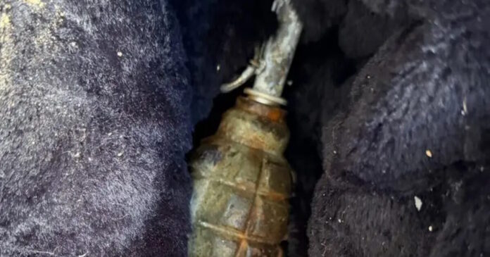 xeirovomvida gada 27042026 1200x630.jpg