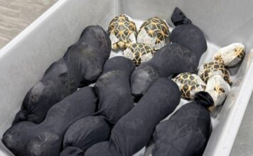 xelwnes tailandi 1200x630.jpg