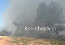 zevgolatio fotia 1 1200x630.jpg