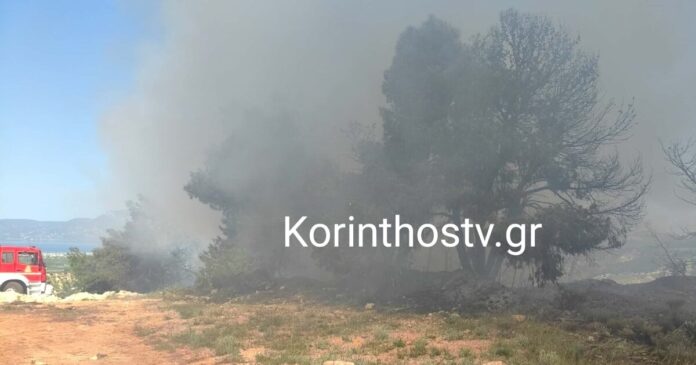 zevgolatio fotia 1 1200x630.jpg