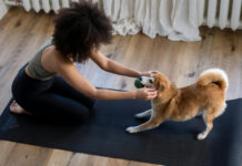 1170dogyoga.jpg