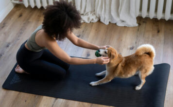 1170dogyoga.jpg
