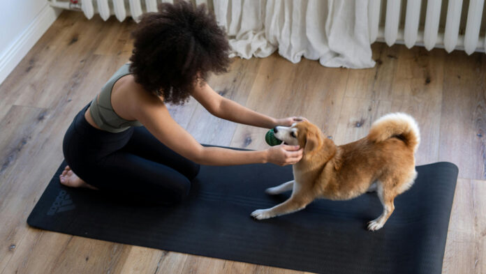 1170dogyoga.jpg
