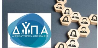 Dypa 1 12.jpg
