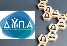 Dypa 1 7.jpg