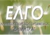 ELGO 1.jpg