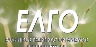 ELGO 1.jpg