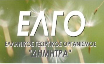 ELGO 1.jpg