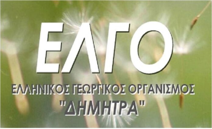 ELGO 1.jpg
