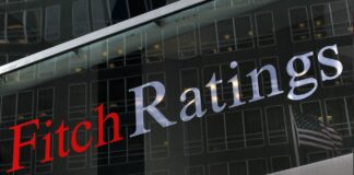 Fitch 1.jpg