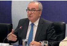 Nikos Papathanasis 1.jpg