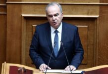 Nikos Papathanasis.jpg